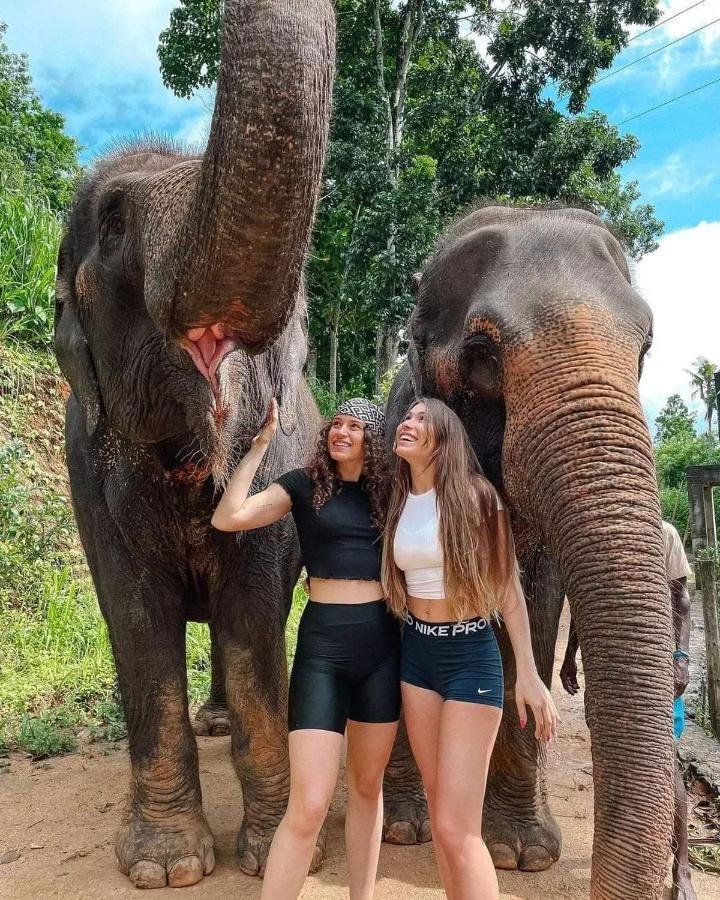 Elephant Park Family Bungalow Udawalawe Εξωτερικό φωτογραφία